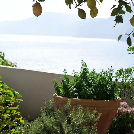 Appartement Casa Luana *